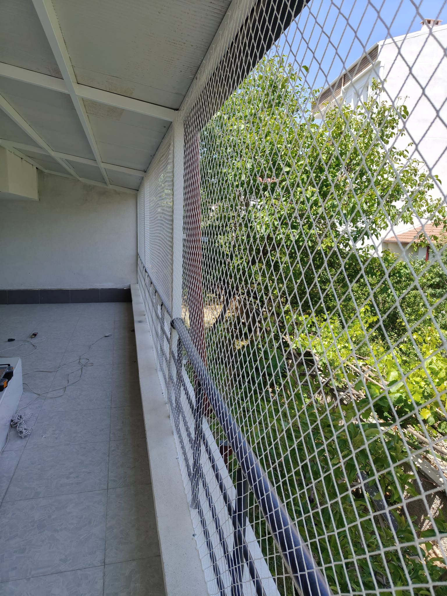 Tekirdag Kedi Filesi